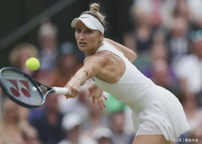 类象征亚冬 类象征亚冬