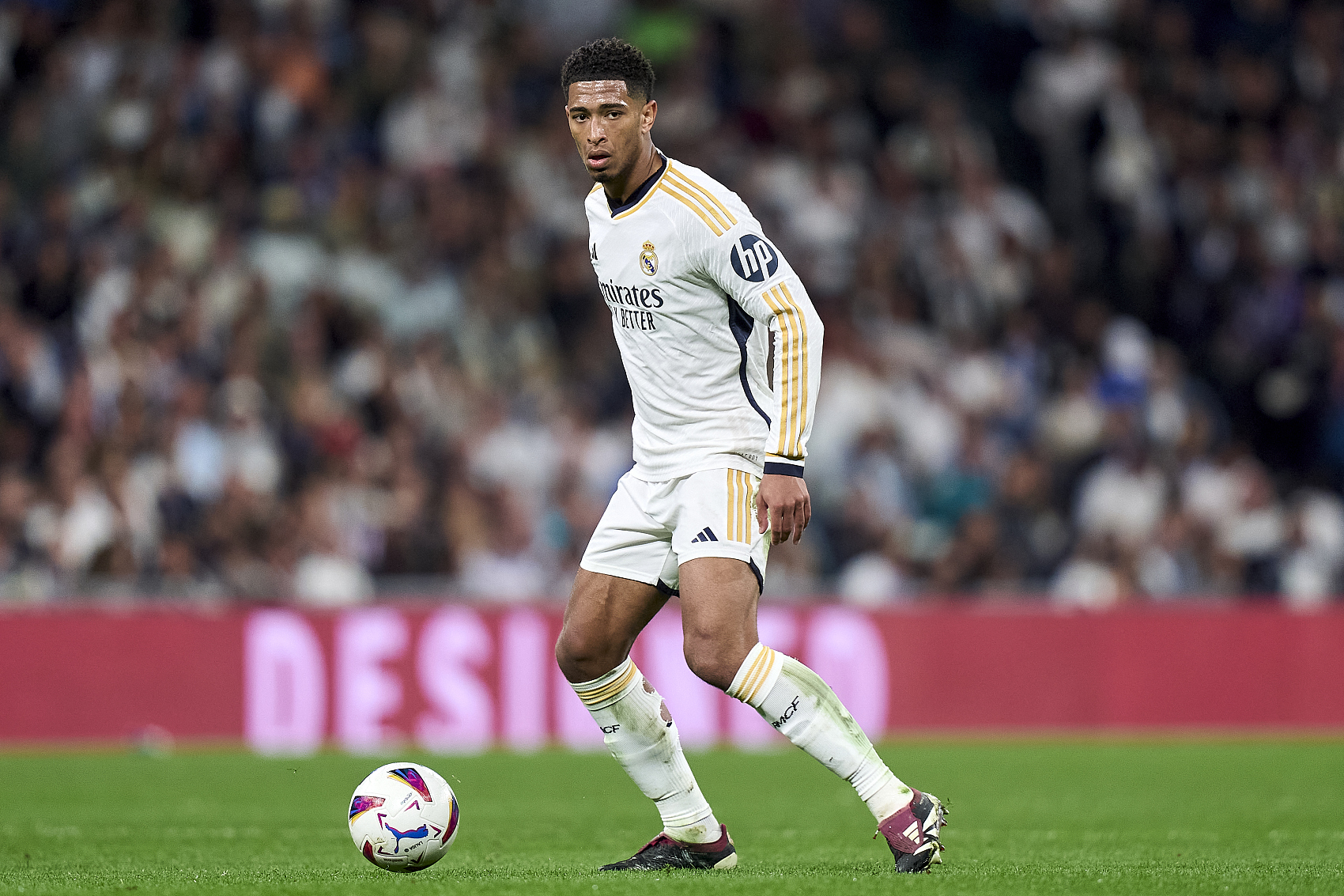 年轻血液的 年轻血液的