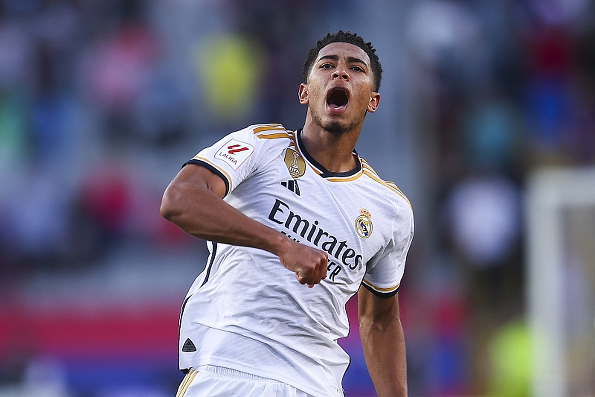 他们追求情 他们追求情