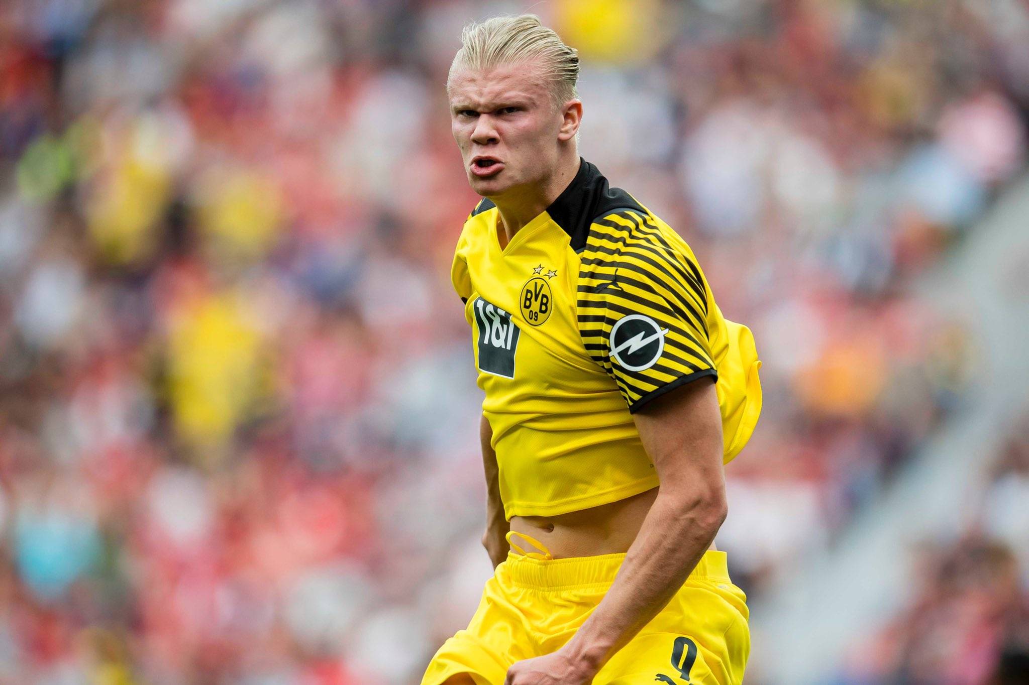 悬念却更多 悬念却更多